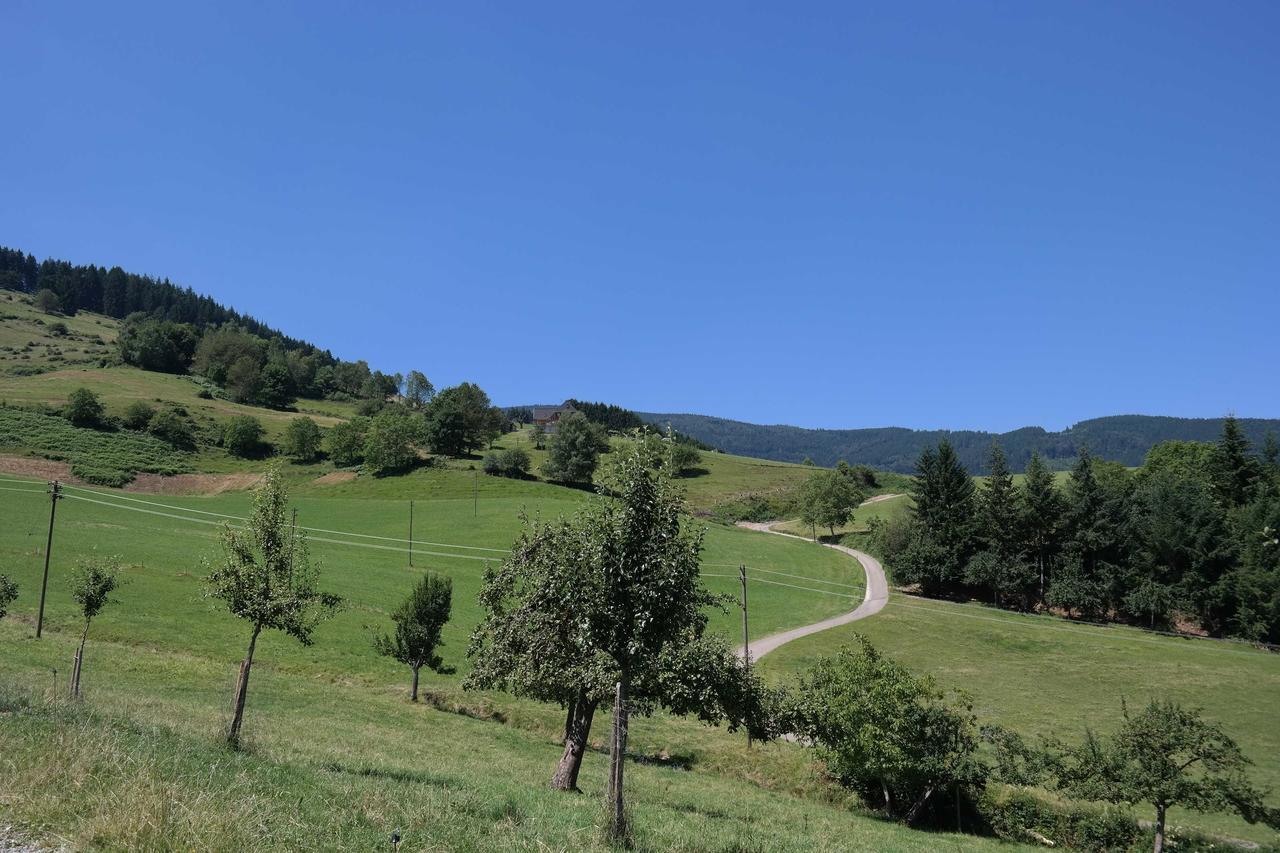Maierhof Villa Oberried  Dış mekan fotoğraf