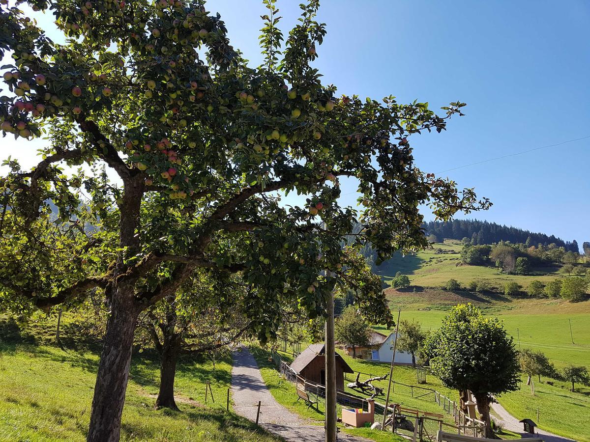Maierhof Villa Oberried  Dış mekan fotoğraf